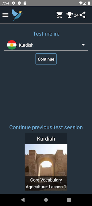 Kurdish Language Tests Screenshot 0
