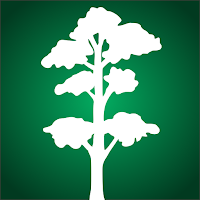 Reforest Rainforest