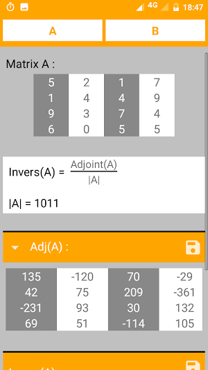 Matrix Calculator - Gaussian Elimination - Cramer Screenshot 2