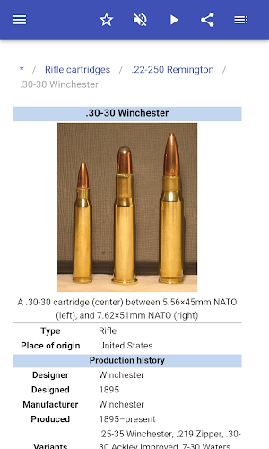 Ammunition Screenshot 3