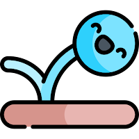 PONG Emoji: The 5 Cents Game!