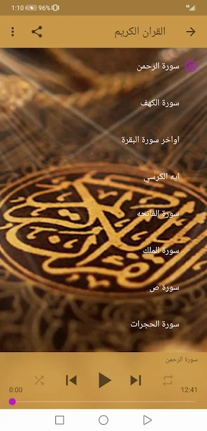 القران الكريم  بصوت حسام الدين عبادي بدون نت Screenshot 2