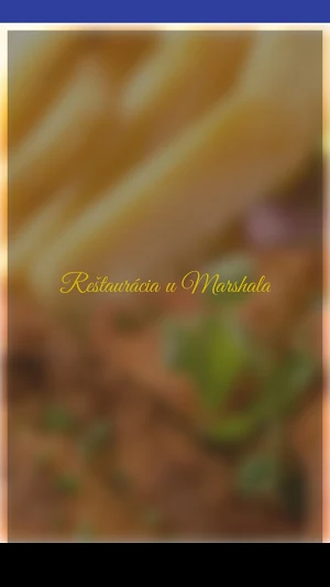 Restauracia u Marshala Screenshot 2