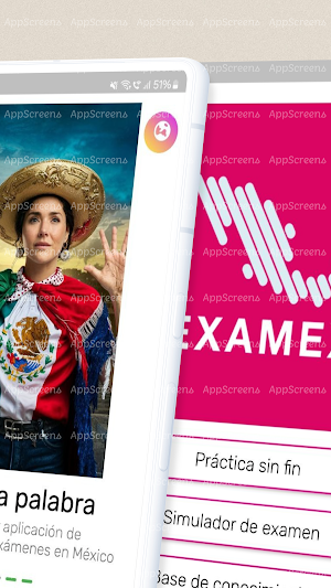 Examex Screenshot 1