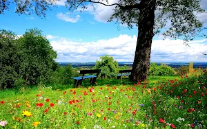 Nature Wallpaper HD Screenshot 1