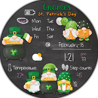 BFF26 - St. Patrick day Gnomes