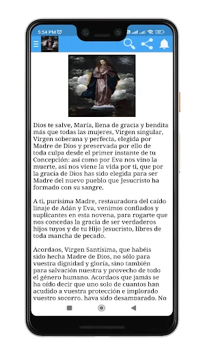Inmaculada Concepción Screenshot 3