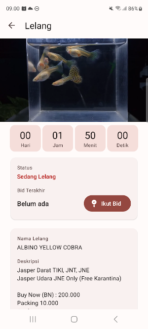 Bid Bay Screenshot 1