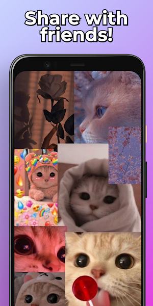 Cute Cats Wallpapers HD screenshot 4