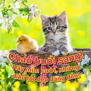 Chào buổi sáng! Screenshot 3
