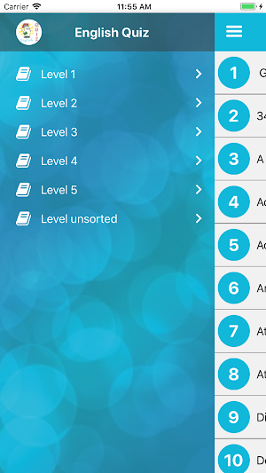 English Quiz Screenshot 2