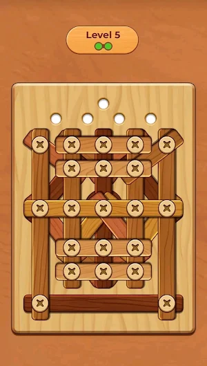 Screw Nuts Master Screw Puzzle Screenshot 1