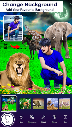 Animal photo Editor Screenshot 3