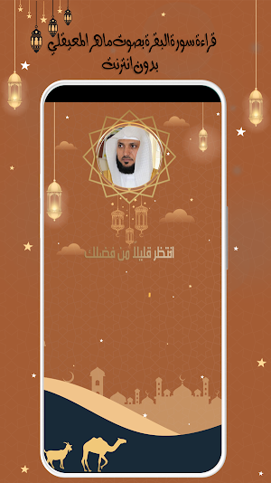 البقرة للقارئ المعيقلي بدون نت Screenshot 3