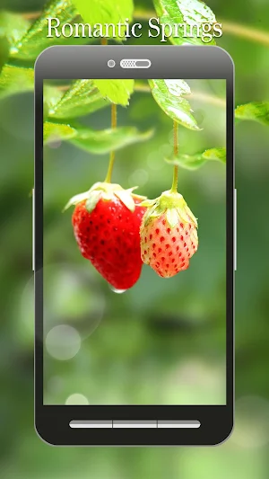 Red Strawberry Live Wallpaper Screenshot 2