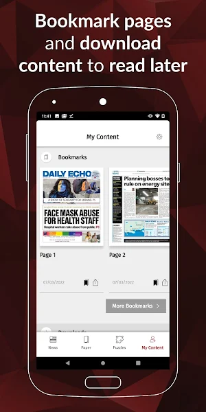 Bournemouth Echo Screenshot 2