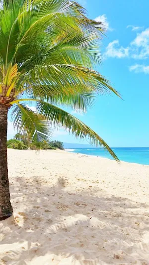 Wallpaper Pantai Screenshot 0