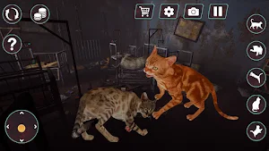 Cat Fighting Battle: Tom Games Screenshot 3