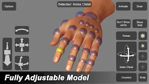 Hand Mannequin Screenshot 1