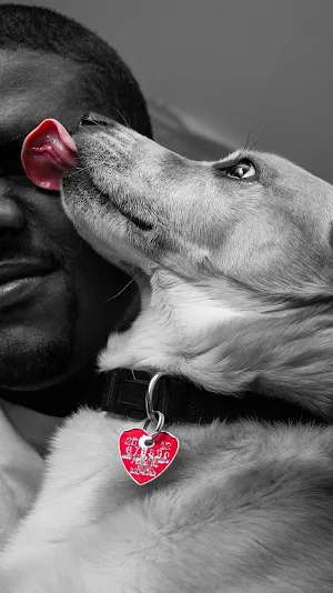 dog licking wallpaper Screenshot 0