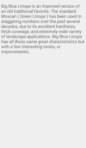 Liriope Big Blue Screenshot 2