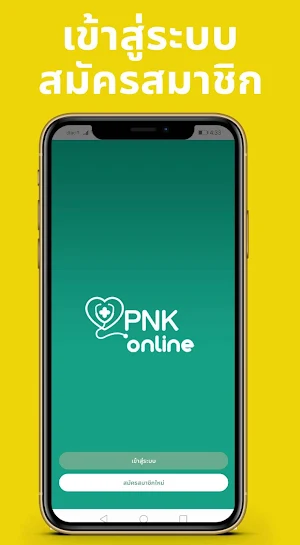 PNK Online Screenshot 0
