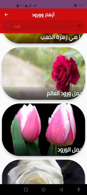 أزهار وورود Screenshot 1