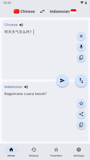 Chinese Indonesian Translator Screenshot 0