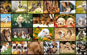 Dog Jigsaw Puzzles - Play Family Games ❤️🐶 Screenshot 0