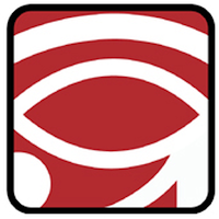 Mustang Eye Tracking