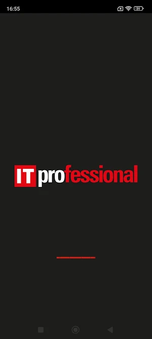 IT Professional Screenshot 0