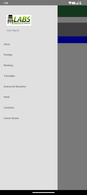 LABS Transporte De Carga Screenshot 2