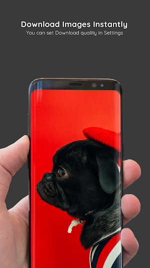 Pug Wallpapers 8K ULTRA Screenshot 2
