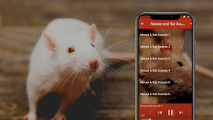 Mouse and Rat sounds Screenshot 3