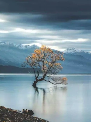 New Zealand Wallpaper HD Screenshot 3
