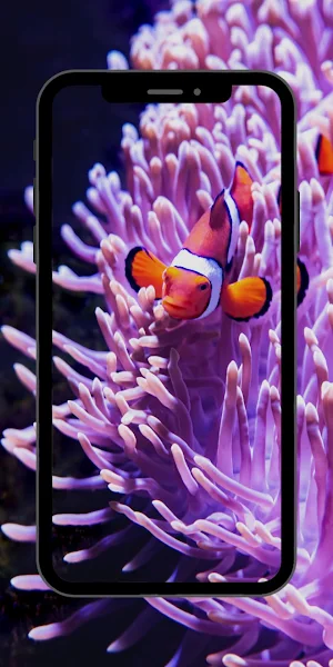 Wallpaper Nemo Fish Screenshot 2