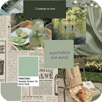 Sage green aesthetic Wallpaper