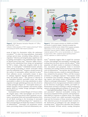 AANA Journal Screenshot 3