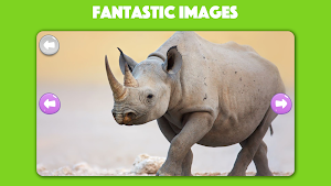 Animals Photo Jigsaw Puzzle Screenshot 0