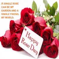 Happy Rose Day