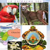 LA CATRACHA 504