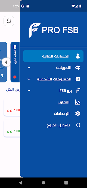 PRO FSB Screenshot 3
