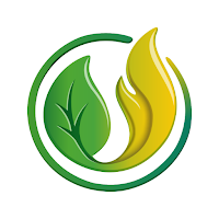 Biofuel Networks