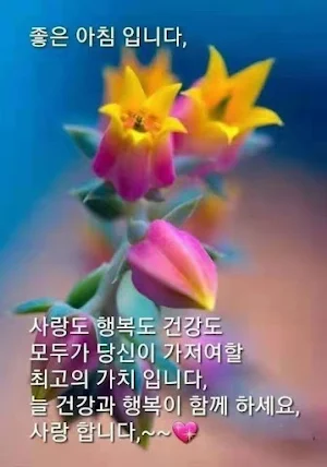 좋은 아침이에요 Screenshot 0