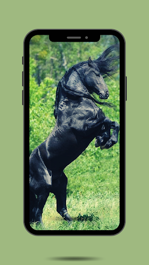 Horses Ringtone Screenshot 1
