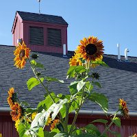 Middle Creek Montessori