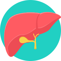 Hepatic Calculator