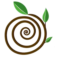 Airmid Wellness
