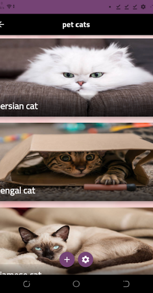 pet cats Screenshot 0