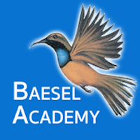 BAESEL ACADEMY